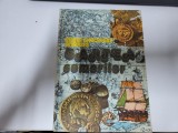 Cartea comorilor de Mihai Gheorghe Andries