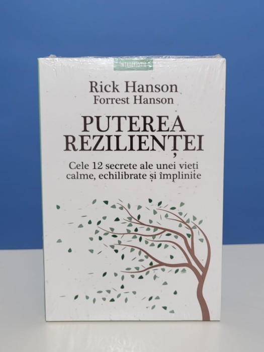 Puterea rezilientei de Hanson Rick