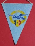 Fanion - Federatia AERONAUTICA Romana - "AEROCLUBUL OLTENIEI" (model 2)