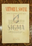 Viitorul social