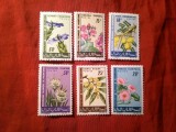 Serie Mauritania 1966 - Flora , 6 valori
