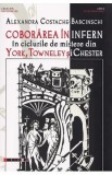 Coborarea in infern in ciclurile de mistere din York, Towneley si Chester - Alexandra Costache-Babcinschi