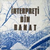 Lia Lungu, Valeria Arnautu &ndash; Interpreti din Banat