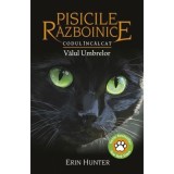 Codul Incalcat. Valul Umbrelor. Seria pisicile Razboinice. Vol. 39, Grupul All