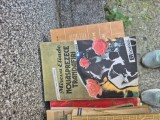 Nouăsprezece trandafiri vintage