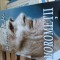 Morometii volumul 2 ed Cartex