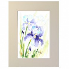E21. Tablou - Irisi violeti, acuarela pe hartie, passpartout, 30 x 40 cm