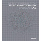 Rejtett mint&aacute;zatok - A h&aacute;l&oacute;zati gondolkod&aacute;s nyelve - Barab&aacute;siLab - Barab&aacute;si Albert-L&aacute;szl&oacute;