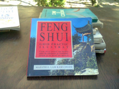 FENG SHUI GHID PRACTIC ILUSTRAT , Lam Kam Chuen , 2004 foto