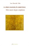 Ca prin oglinda, in ghicitura. Mici eseuri despre crestinism - Ioan Alexandru Tofan