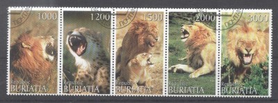 Buriatia 1997 Lions, strip, used T.140 foto