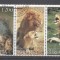 Buriatia 1997 Lions, strip, used T.140