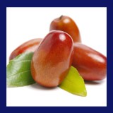 JOJOBA - Ulei virgin-(Simmondsia chinensis ) sticla cu pipeta 30 ml, Amazingoils TOUCH THE SENSES