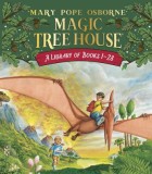 The Magic Tree House, Books 1-28