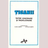 Elena Zamfir, Catalin Zamfir - Tiganii intre ignorare si ingrijorare