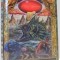 DELTORA QUEST, LACUL PLANGERII de EMILY RODDA , 2004
