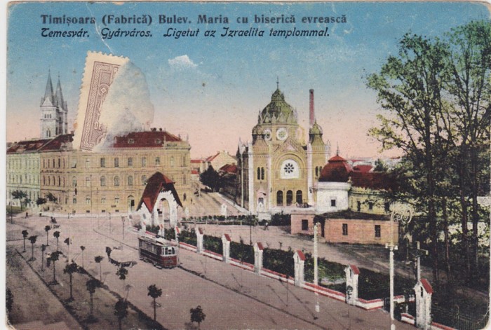 CP Timisoara Bulev. Maria cu biserica evreasca Izraelita templommal ND(1925)