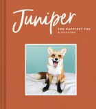 Juniper: The Happiest Fox, 2019