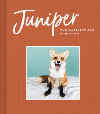 Juniper: The Happiest Fox foto