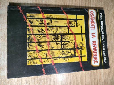 Osanditi la nemurire - Miscarea de Rezistenta Majadahonda din Orhei 1940-1941 (Povestire documentara) - Petru Bunacalea; Andrei Calcea (Chisinau 1999) foto