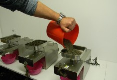 Presa ulei universala 220V + panza de filtrare