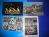 HOPCT LOT NR 410 CAI AUSTRIA -FAUNA -4 CARTI POSTALE-CIRCULATE
