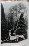 Fotografie, Tanara in parc, iarna, perioada comunista