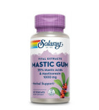 Mastic Gum, 45cps, Solaray