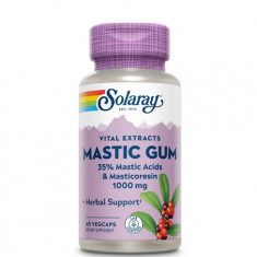 Mastic Gum, 45cps, Solaray