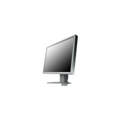 Monitoare second hand Grad B Eizo Flexscan S2100 Panel S-PVA foto