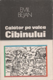 Emil Bejan - Calator pe Valea Cibinului