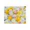 Narcise Narcissus, Double Mixed - Floare Dubla, Multicolor, 14/16, 1 Bulb