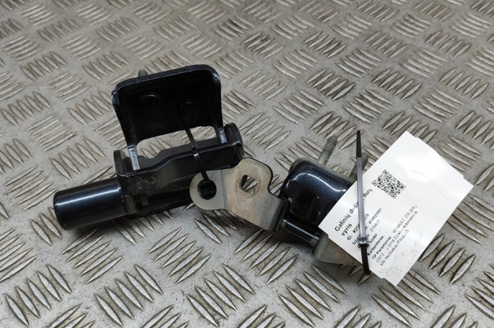 Balama ușă dreapta spate RENAULT ZOE BFM_ 2018 OEM: 824205786R,824002857R 25696528