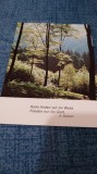 CARTE POSTALA -FELICITARE NECIRCULATA