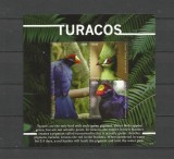 GAMBIA 2020 FAUNA PASARI TURACOS