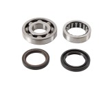Set rulmenti ambielaj plus simeringuri Honda CRF 250R 06- 17 CRF 250X 07- 17, HOT RODS