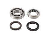 Set rulmenti ambielaj plus simeringuri Honda CRF 250R 06- 17 CRF 250X 07- 17