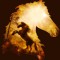 Husa Personalizata ALLVIEW A5 Duo Horse