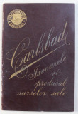CARLSBAD (ISVOARELE SI PRODUSUL SURSELOR SALE)-DR. LUDWIG SIPOCZ 1895