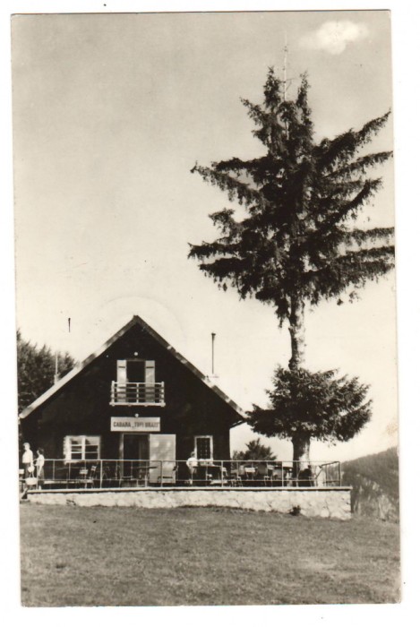 CPIB 19547 CARTE POSTALA - PREDEAL. CABANA &amp;quot;TREI BRAZI&amp;quot;, Circulata ...