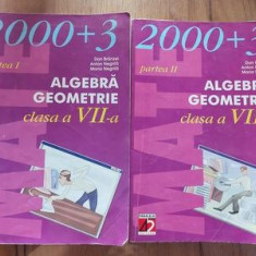 Algebra, geometrie clasa a 7-a 1, 2 - Dan Branzei, Maria Negrila