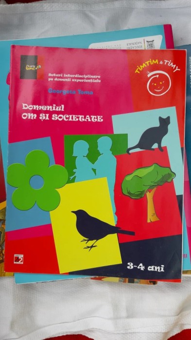 DOMENIUL OM SI SOCIETATE 3-4 ANI . GEORGETA TOMA