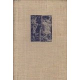 Dictionar de buzunar roman-englez si englez-roman (18 000 cuvinte, 6000 de expresii)