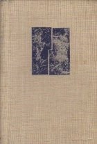 Dictionar de buzunar roman-englez si englez-roman (18 000 cuvinte, 6000 de expresii)