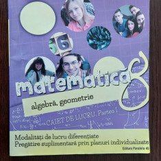 MATEMATICA ALGEBRA GEOMETRIE CLASA A VIII A CAIET DE LUCRU PARTEA I CHIRCIU