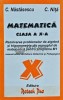 Matematica Clasa a X-a, C. Nastasescu, 2002, Rotech Pro, 252 pagini, Brosata, Stare Buna