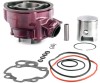 Kit Cilindru 80cc/90cc RIEJU RS2 Matrix, Aprilia RS AM6, Beta, HM, Malaguti, Minarelli, Peugeot - Apa