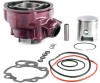 Set Motor APRILIA EXTREMA 80 90 - Apa