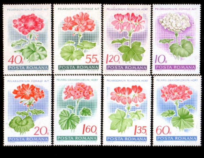 1968 - Muscate de gradina, serie neuzata