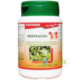 Mesteacan 40cps